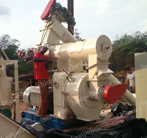 1ton/h bamboo pellet machine