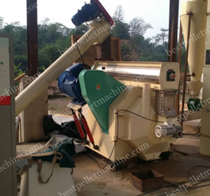 500kg/h bamboo pellet machine