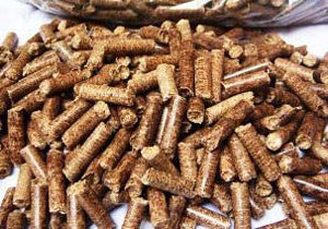 bagasse pellets