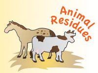 biomass animal residues