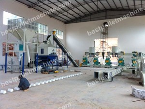 biomass pellet mill plant