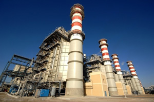 biomass pellets used in power plants
