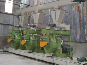 biomass wood pellet plant