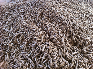 EFB palm fiber pellets