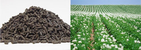 organic biomass fertilizer pellets