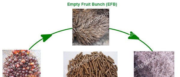 palm fiber pellet machine 1