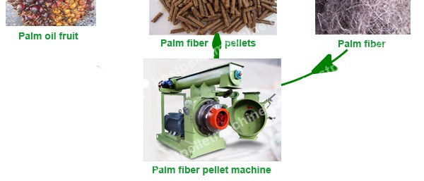 palm fiber pellet machine 2