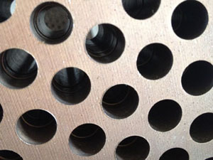 pellet machine ring die holes