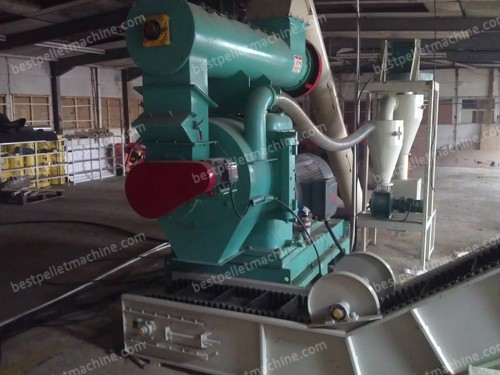 pellet mill for project