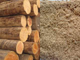 raw material processing