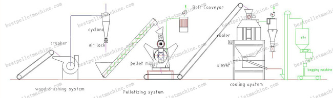 small biomass pellet plant layout