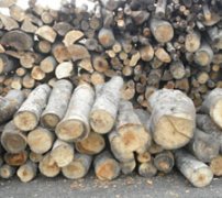 wood pelleting plants bring profit to forest landowners
