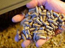 uk wood pellets