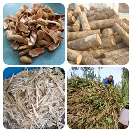 various biomass