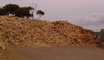 waste wood chips for pellet line