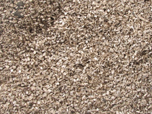 wood chips