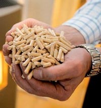 wood pellets