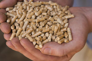 wood pellets for winter