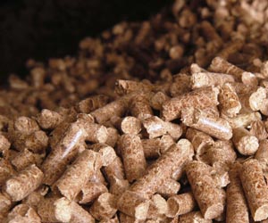 wood pellets in Russian market