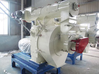 wood sawdust pellet mill