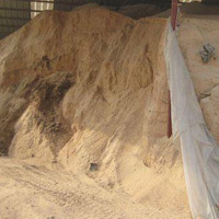 wood sawdust