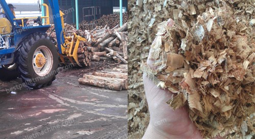 wood shavings for pellet plant