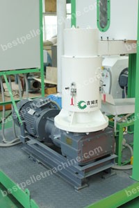 ZLSP300B R-type pellet mill